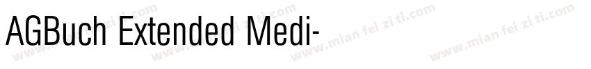AGBuch Extended Medi字体转换